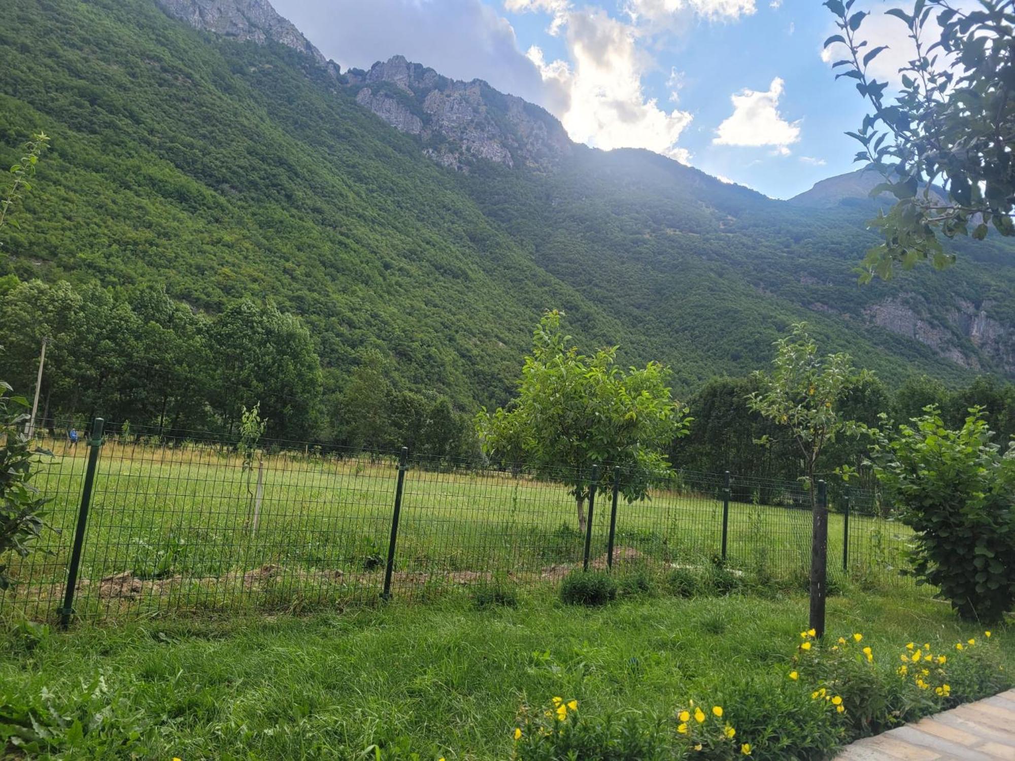 Lola Guest House Vuthaj Εξωτερικό φωτογραφία